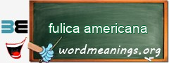 WordMeaning blackboard for fulica americana